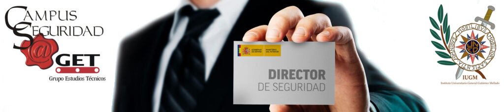 director de seguridad